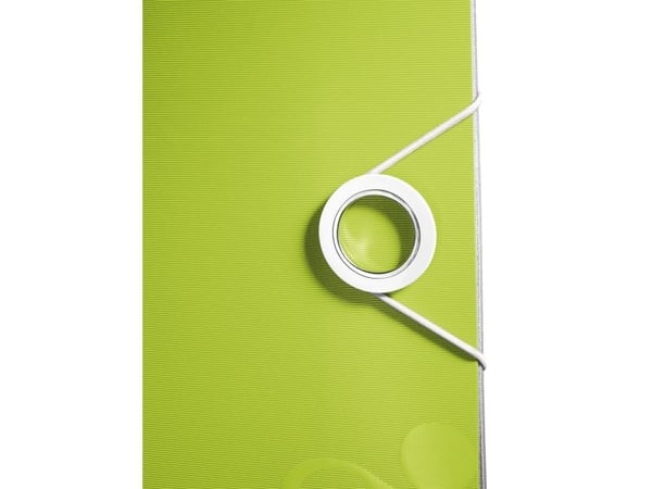 Leitz 11070064, A4, Grønn, 350 ark, 80 g/m², 6,5 cm, 308 mm