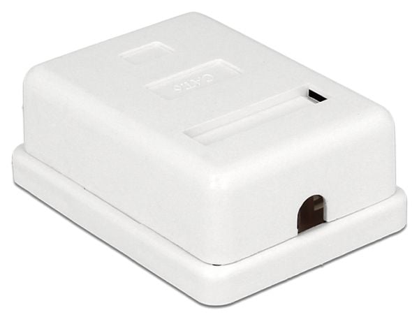 DeLOCK 86169, RJ-45, Valkoinen, 66 mm, 50 mm, 25 mm