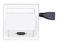 VivoLink Wall Connection Box - Utmonterat utgångshölje - väggmontering - HDMI