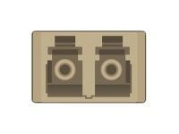 Delock - Koblingspanel - skapmonterbar - LC Duplex MM X 12 - svart, beige - 1U - 10"