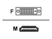 AG Neovo CB-01 - Adapterkabel - HDMI hann til DVI-D hunn - 1.8 m - dobbeltisolert - svart