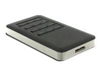 DeLOCK 42594, SSD-kotelo, M.2, SATA, 5 Gbit/s, USB-liitettävyys, Musta, Hopea