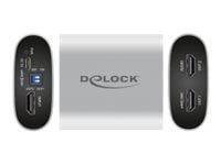 Delock - Ljudutmatning