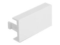 Delock - Easy 45 - utgangsdeksel - hvit, RAL 9003 (en pakke 10)