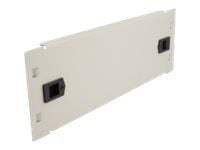 Delock - Blindpanel till rack - grå - 2U - 10"