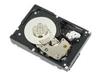 Dell - Harddisk - 300 GB - intern - 3.5" - SAS 6Gb/s - 15000 rpm - oppusset - for PowerEdge R300, R410, T100, T110, T410; PowerVault MD3000; Precis...