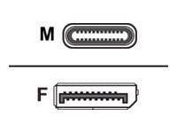 DELTACO - USB / DisplayPort-adapter - USB-C (hann) til DisplayPort (hunn) - 8 K 30 Hz (7680 x 4320) støtte - svart