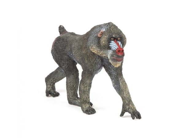 PAPO 50121 Mandril