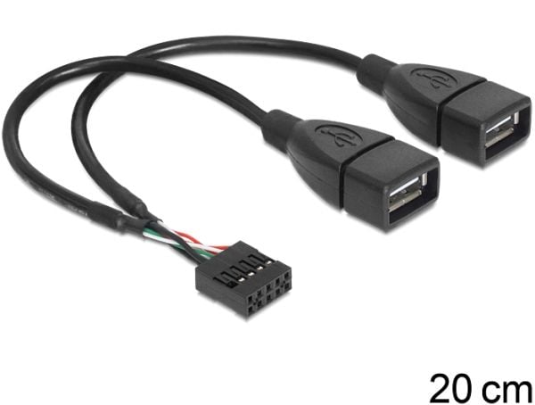 Delock - Intern-til-ekstern USB-kabel - USB (hunn) til 9-pins USB-header (hunn) - 20 cm