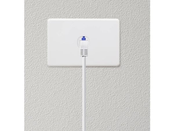 Renkforce RF-4892520, 20 m, Cat6a, S/FTP (S-STP), RJ-45, RJ-45, Grå