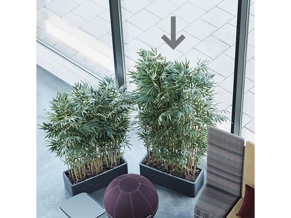 Sonossg Högt bambu