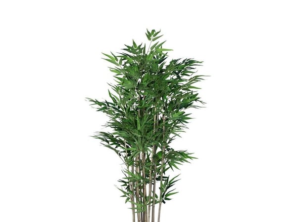 Sonossg Högt bambu