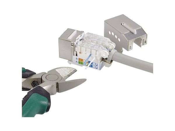 Renkforce RF-4848597, Flat, Hvit, RJ-45, Hunkjønn, 22/26, 500 MHz