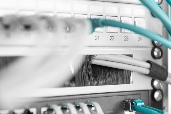DIGITUS Professional DN-97660 - Styringspanel for rackkabler med børste - lysegrå, RAL 7035 - 1U - 19"