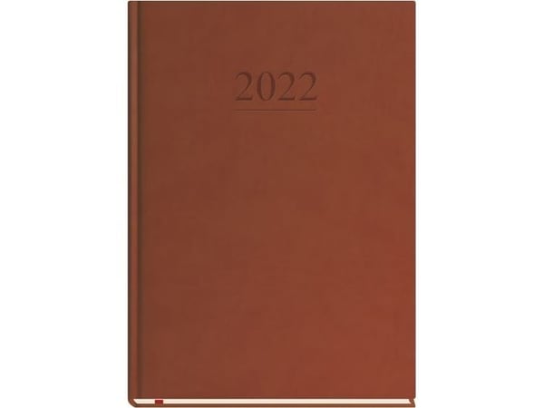 Michalczyk & Prokop Plan 2022 Universal Bronze T-218V-S2