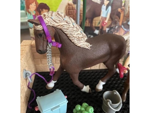 Schleich Washing area with Horse Club Emily & Luna