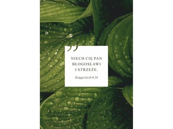 Koinonia konvolutt/kort - Niech Cie Pan blogoslawi - liscie