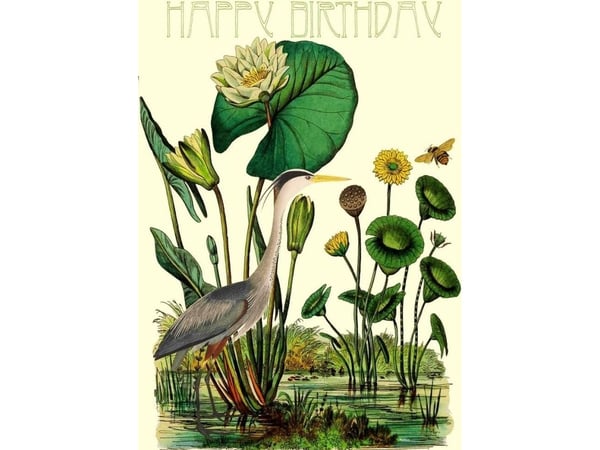 B6 notatbok med konvolutt Birthday Heron