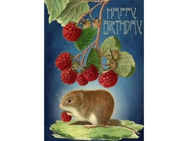 B6-häfte med kuvert Birthday Mouse