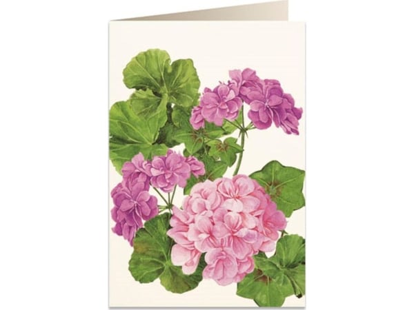 Tassotti Karnet B6 + koperta 5576 Pelargonia