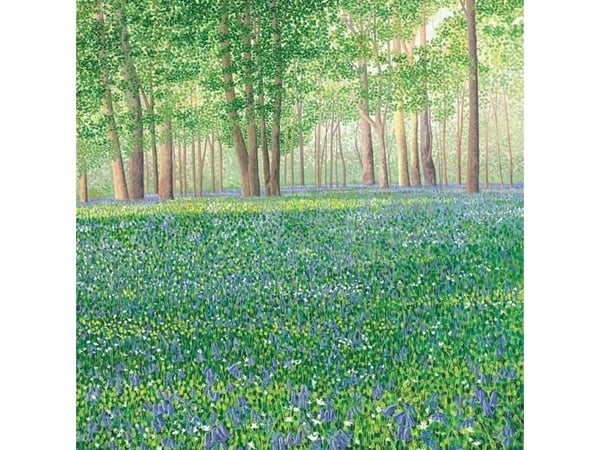 Susan Entwistle Kort med kuvert Forest of Bells II