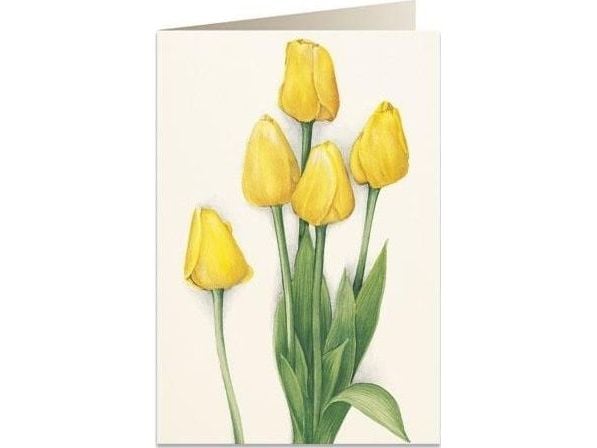 Tassotti gratulasjonskort B6 + konvolutt 7516 gule tulipaner