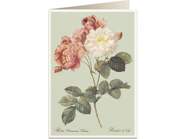 Tassotti gratulasjonskort B6 + konvolutt 6066 (fargerike rosa)