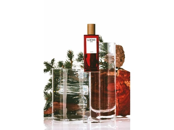 Loewe Solo Loewe Cedro EDT M 100 ml