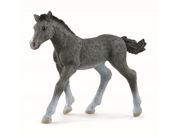 Schleich Trakehner hingstefole
