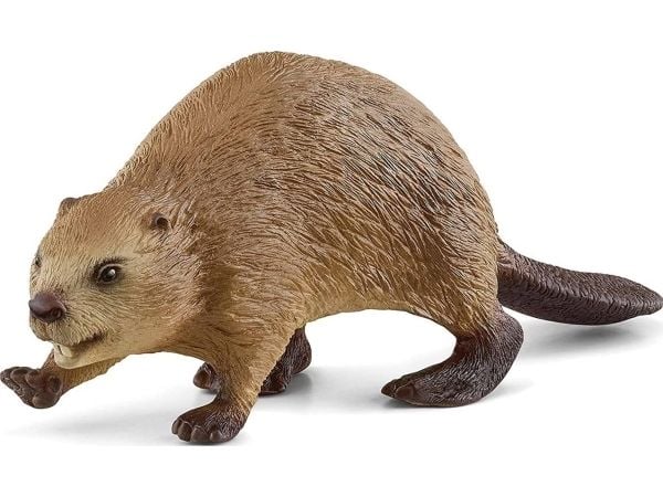 Schleich bever