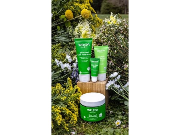 SymagBeauty Skin Food Cream Kos, W, 30 ml