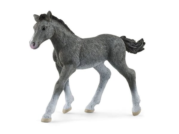 Schleich Trakehner hingstefole