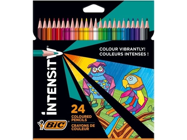 BIC 9641481, 24 styck