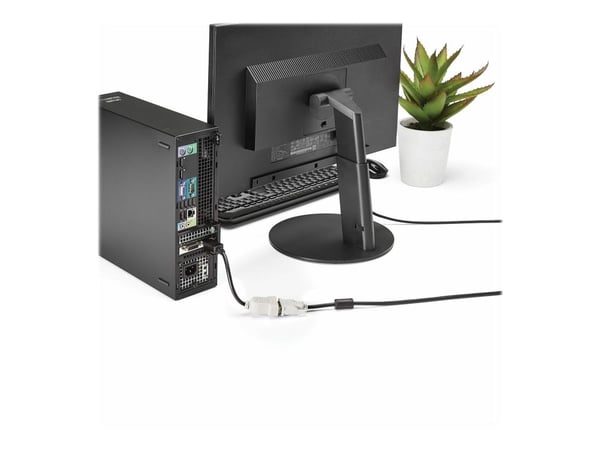 StarTech.com DisplayPort to DVI Adapter - 1920x1200 - Display Port to DVI Dongle - Passive DP to DVI-D Adapter (DP2DVI) - DisplayPort-adapter - enk...