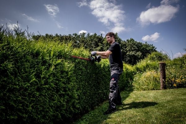 Metabo HS 18 LTX 65 - - trådløs - 18 V - SOLO