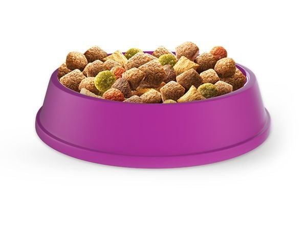 Whiskas tørrfôr for voksne katter med kylling - 14 kg