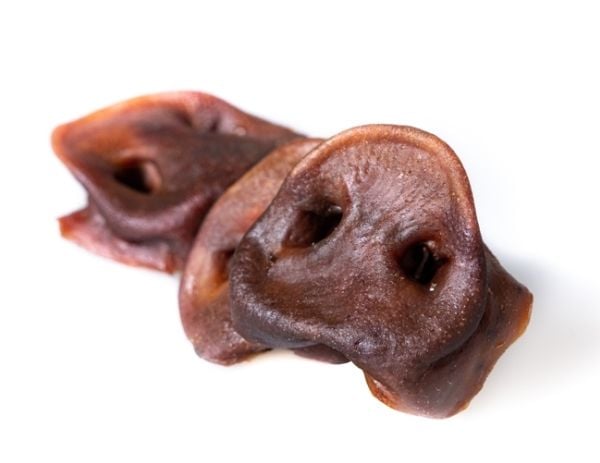 Hundeflaks grisører/små grisfinner sort large EU, 4-pk Hundeflaks grisører/små grisfinner sort large EU, 4-pk