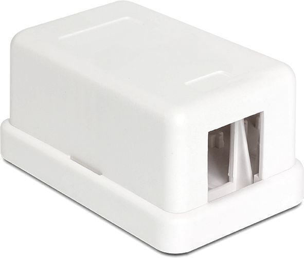 Delock Keystone Surface Mounted Box - Modulært innføringshus - hvit - 1 port