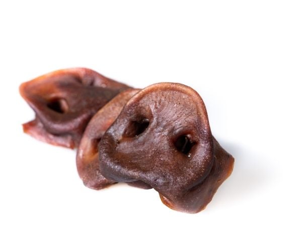 Hundeflaks grisører/små grisfinner sort large EU, 4-pk