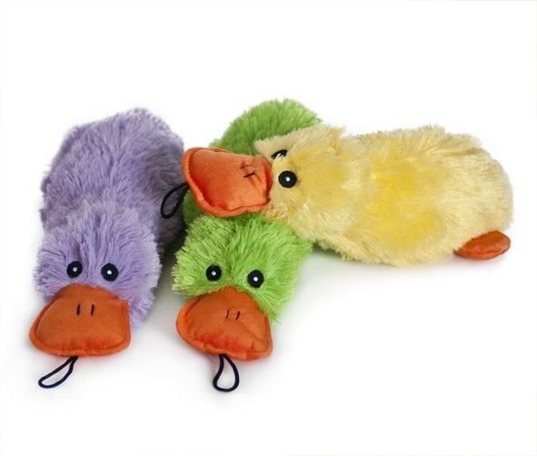PP Plush Platypus 30 cm Ass Colours