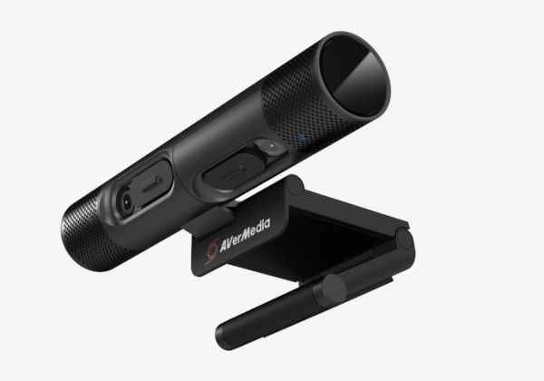 AVerMedia PW313D webkamera 5 MP 2592 x 1944 piksler USB 2.0 svart (61PW313D00AE)