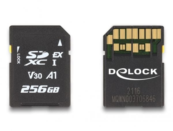Delock - Flashminnekort - 256 GB - Video Class V30 / UHS-I U3 - SD