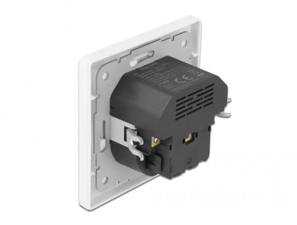 DeLOCK 11489, CEE 7/3 + USB, Valkoinen, Muovi, 250 V, 16 A, 4000 W