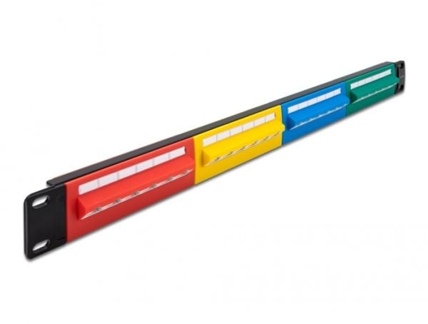 Delock - Koblingspanel - skapmonterbar - CAT 5e - RJ-45 X 24 - blå, gul, rød, grønn - 1U - 19"