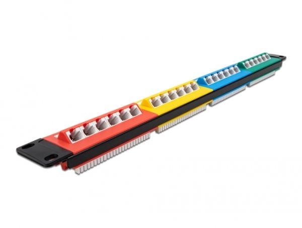 Delock - Koblingspanel - skapmonterbar - CAT 5e - RJ-45 X 24 - blå, gul, rød, grønn - 1U - 19"
