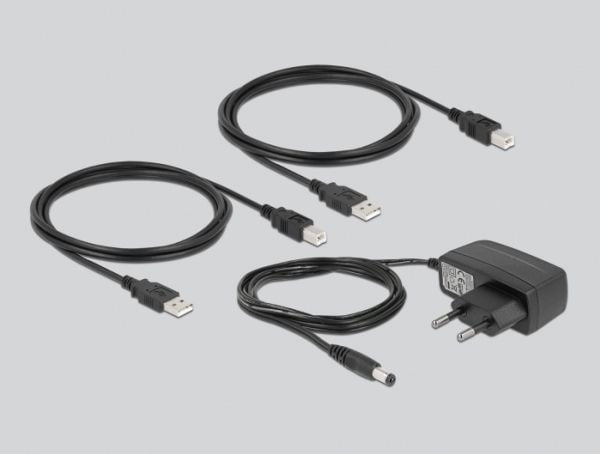 Delock - USB-periferdelesvitsj - 2 x USB 2.0 - veggmonterbar, overflatemonterbar