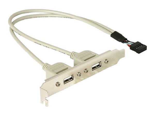 DeLOCK Slotbracket 1x internal USB 5pin > 2x USB2.0 external, 0,3 m, USB A