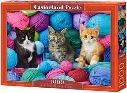 Castorland Puzzle 1000 Katter i kuler av CASTOR-ull