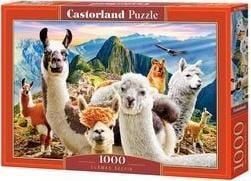 Castorland Puzzle 1000 laamaa CASTOR