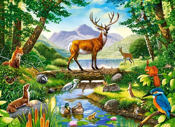 Castorland Woodland Harmony 300 pcs, 300 stykker, Dyr, 8 år